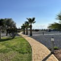 Fully Furnished 2+1 Flat With Sea View In Bafra